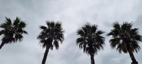 함덕해수욕장 리뷰사진5