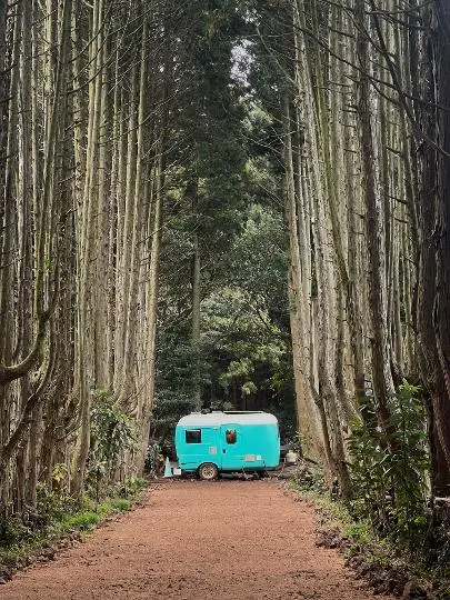드라마 속 제주를 찾는 여정, <웰컴투 삼달리> 따라 여행하기