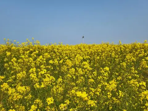 드라마 속 제주를 찾는 여정, <웰컴투 삼달리> 따라 여행하기