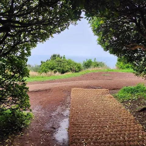 드라마 속 제주를 찾는 여정, <웰컴투 삼달리> 따라 여행하기