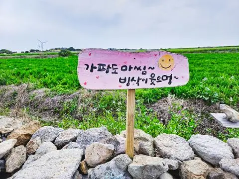 청보리가 무르익어 갈 때면 <가파도 올레길 10-1코스> 