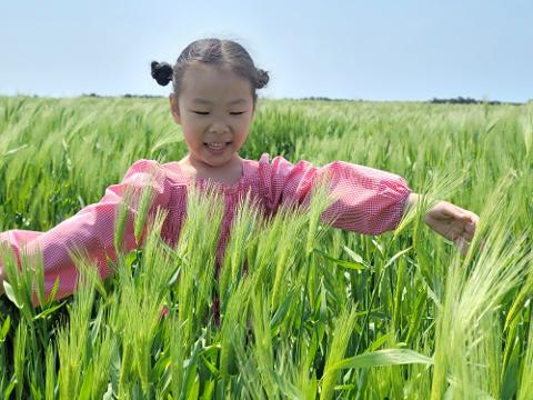 가파도청보리축제 리뷰사진1