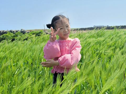 가파도청보리축제 리뷰사진4