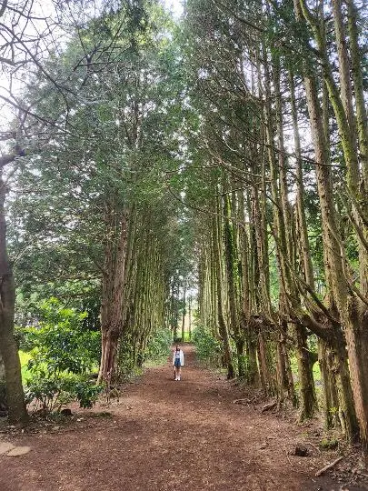 드라마 속 제주를 찾는 여정, <웰컴투 삼달리> 따라 여행하기