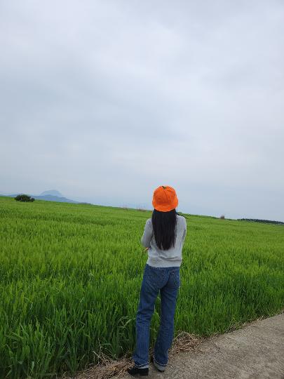 가파도청보리축제 리뷰사진2