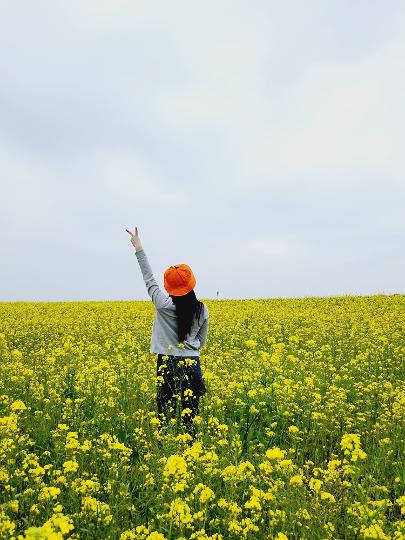 가파도청보리축제 리뷰사진1