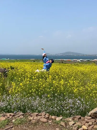 청보리가 무르익어 갈 때면 <가파도 올레길 10-1코스> 