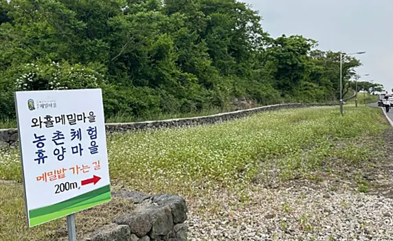 {"kr":"드라마 속 제주를 찾는 여정, <웰컴투 삼달리> 따라 여행하기"}