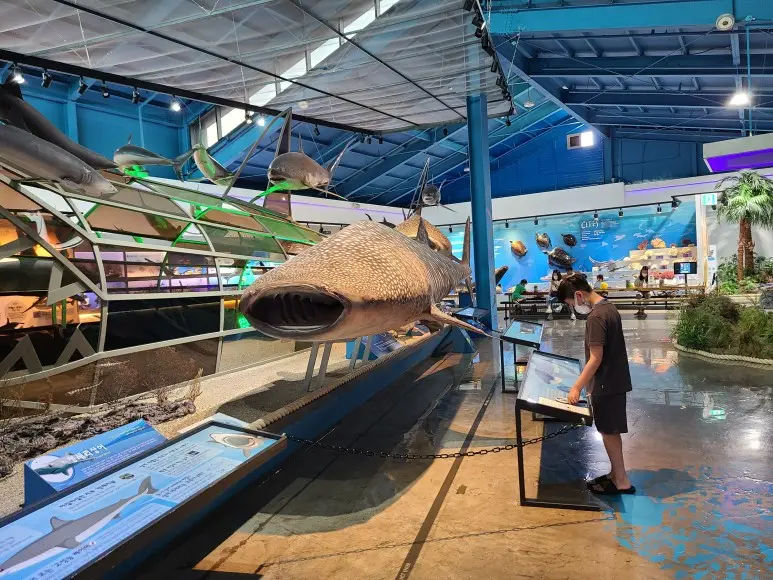 {"kr":"드라마 속 제주를 찾는 여정, <웰컴투 삼달리> 따라 여행하기"}