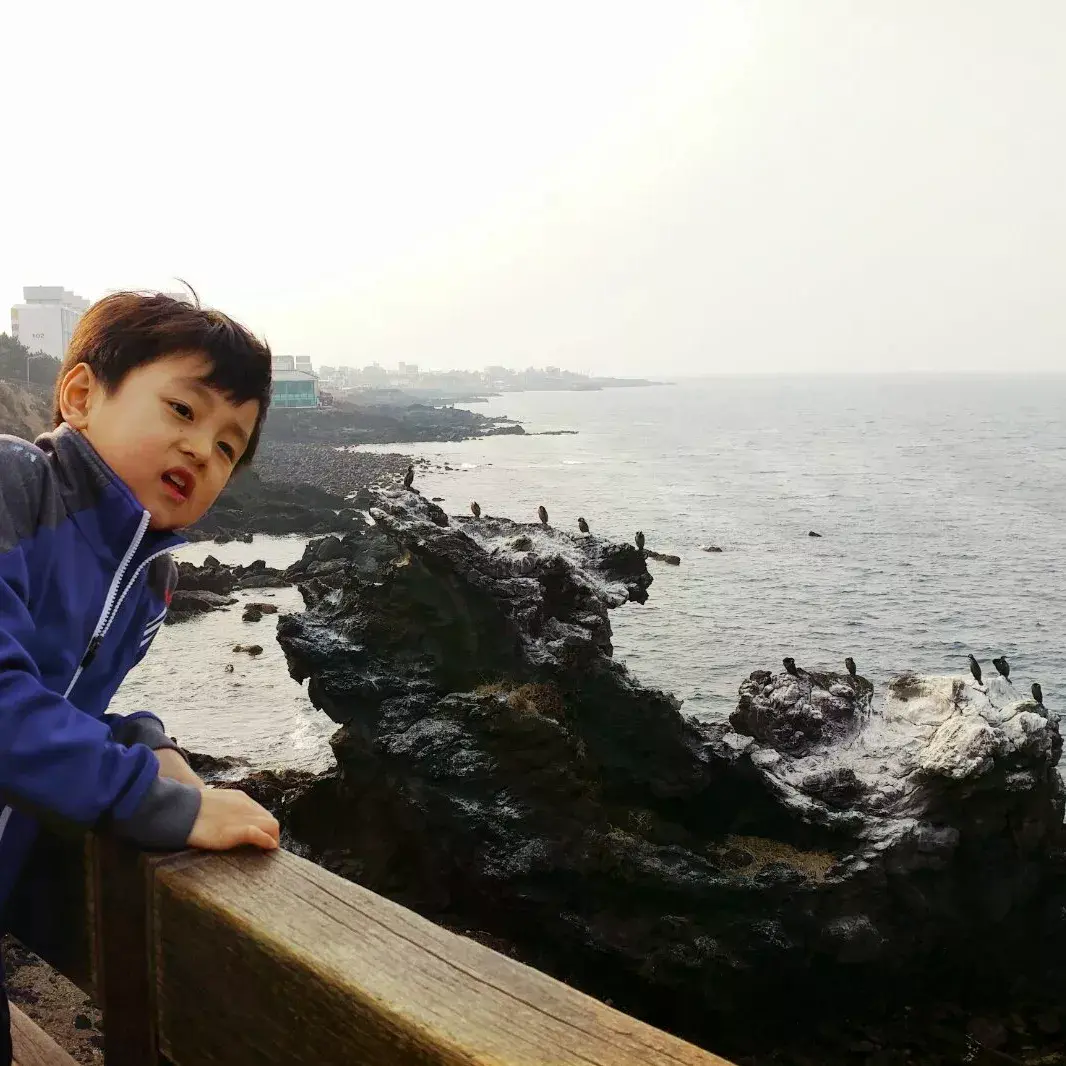 {"kr":"<보물찾기 in Jeju> 제주의 숨은 보물을 찾아용"}