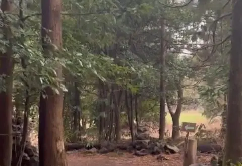 드라마 속 제주를 찾는 여정, <웰컴투 삼달리> 따라 여행하기