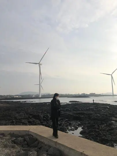 신창풍차해안도로