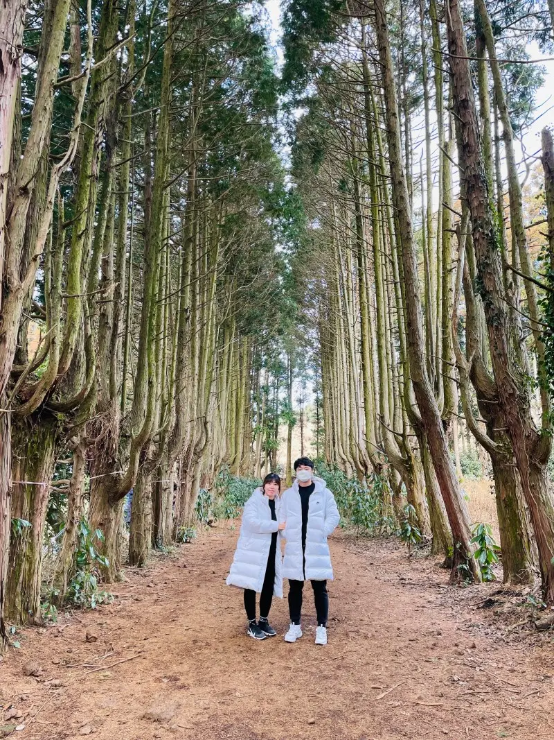 {"kr":"드라마 속 제주를 찾는 여정, <웰컴투삼달리> 따라 여행하기"}