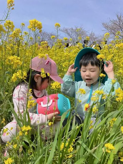 녹산로유채꽃길 리뷰사진2