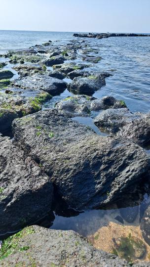 마을 탐방길부터 축제까지 <이호해변 즐기기> 리뷰사진2