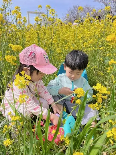 녹산로유채꽃길