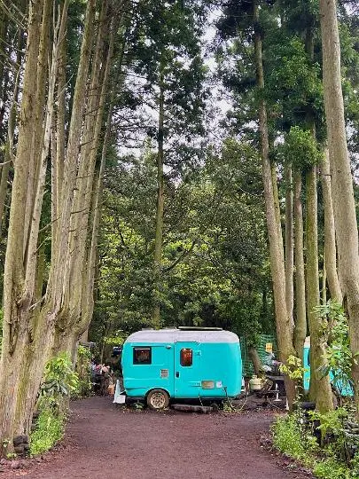 드라마 속 제주를 찾는 여정, <웰컴투삼달리> 따라 여행하기
