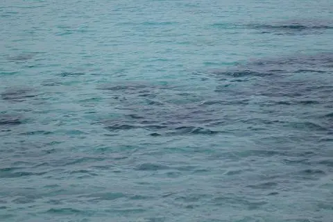 드라마 속 제주를 찾는 여정, <웰컴투삼달리> 따라 여행하기