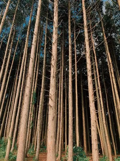 드라마 속 제주를 찾는 여정, <웰컴투삼달리> 따라 여행하기