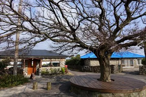 드라마 속 제주를 찾는 여정, <웰컴투삼달리> 따라 여행하기