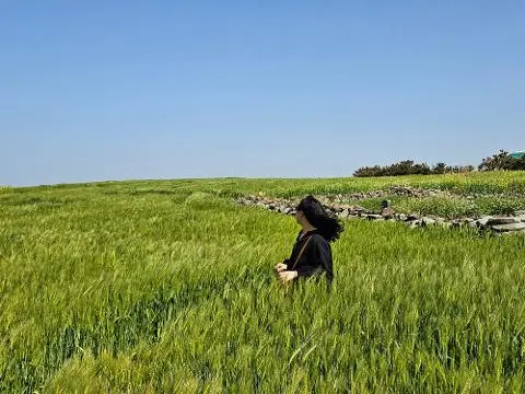 작은 섬 속 누리는 힐링 산책 <가파도 여행>