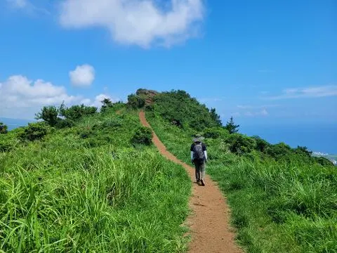 웰컴투 삼달리 in jeju! 삼달이의 나를 찾아 떠나는 여행! 올레 9코스에 있는 군산오름입니다. 청명한 하늘이 보이는 날 5분 남짓 오르면 이리도 멋진 풍경을 볼 수 있습니다. 가성비 오름이라고 많이 분들이 방문하시는 곳인데요. 도로가 좁으니 꼭 안전 운전하세요^^