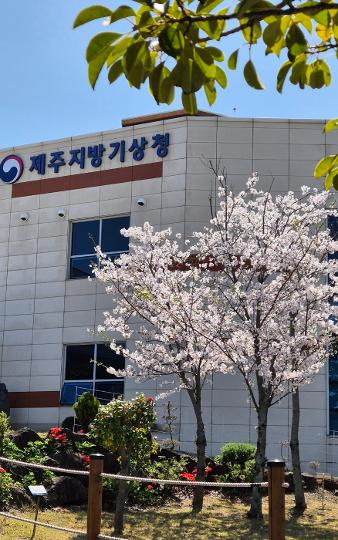 제주 기상 100주년 기념 문화제 리뷰사진1