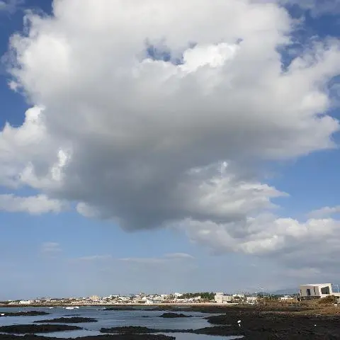 신창풍차해안도로