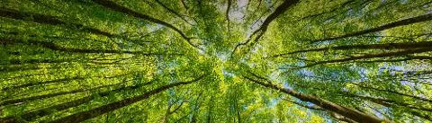 보석같이 반짝이는 여유의 시간, Turn on JEJU, GO on JEJU 대표이미지