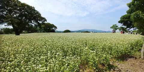 드라마 속 제주를 찾는 여정, <웰컴투삼달리> 따라 여행하기