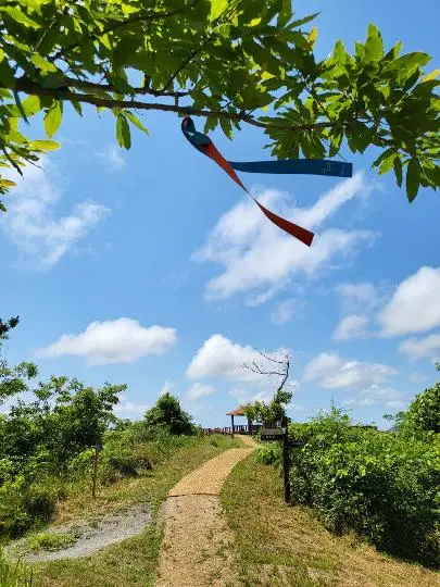 군산(군산오름,코메오름) 리뷰사진2