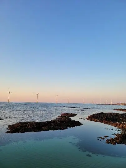 신창풍차해안도로