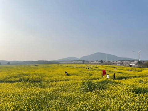 [5(Oh!)my jeju 캠페인 이벤트-축제·행사편] 제주 축제행사를 칭찬해