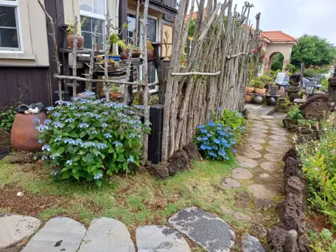 나미송 머무는 곳