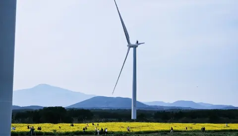 [5(Oh!)my jeju 캠페인 이벤트-축제·행사편] 제주 축제행사를 칭찬해