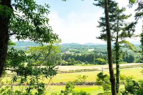 Discover Hidden Jeju Nature in the City <Conquering Neighborhood Oreum> 대표이미지