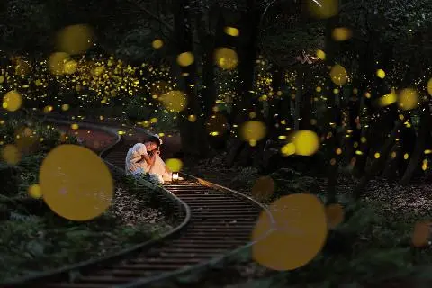 2024 산양 큰엉곶 반딧불이 탐방 대표이미지