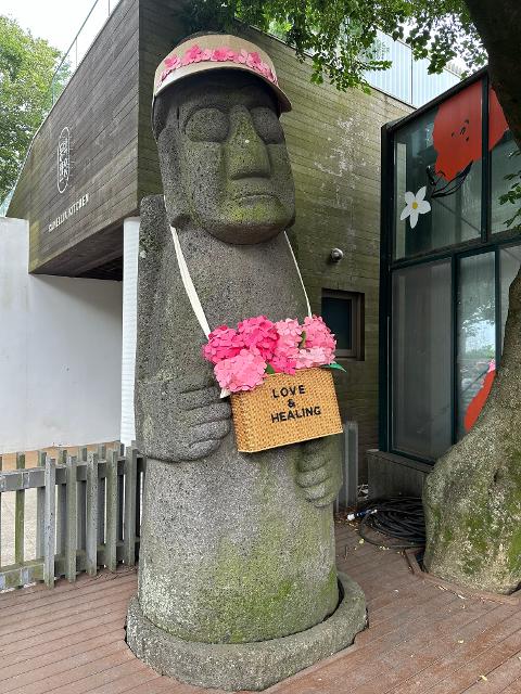 제주여름 수국을 빼놓을수 없죠~
수국명소가 많이 생기기 했지만 역시나 카멜리아힐이네요
산책길도 잘 조성되어있고 예쁜포토존에 ~
여름에 꼭 방문해봐야할 곳이예요
이번에도 예쁜사진 많이 찍고 왔네요
