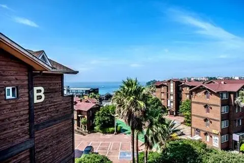 다인리조트 대표이미지