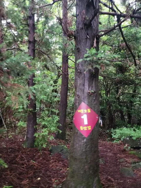 [5(Oh!)my jeju 캠페인 이벤트-축제·행사편] 제주 축제행사를 칭찬해