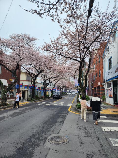 [5(Oh!)my jeju 캠페인 이벤트-축제·행사편] 제주 축제행사를 칭찬해