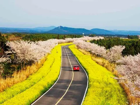 가시리조랑말체험공원