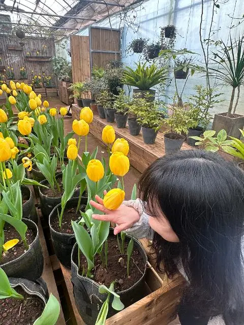 꽃도 많이 심어져있고 넓어서 산책하고 힐링하기 좋았습니다!
근처에 커피마실수 있는 카페도 있도 사진찍을수 있는 장소도 많아서 
좋았습니다 ~~!