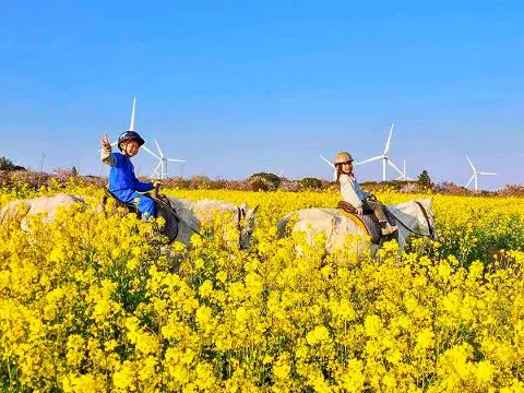 가시리조랑말체험공원