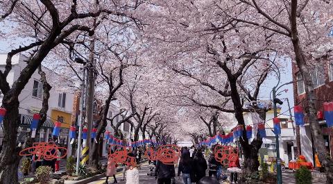 [5(Oh!)my jeju 캠페인 이벤트-축제·행사편] 제주 축제행사를 칭찬해