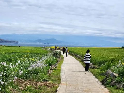 [5(Oh!)my jeju 캠페인 이벤트-축제·행사편] 제주 축제행사를 칭찬해