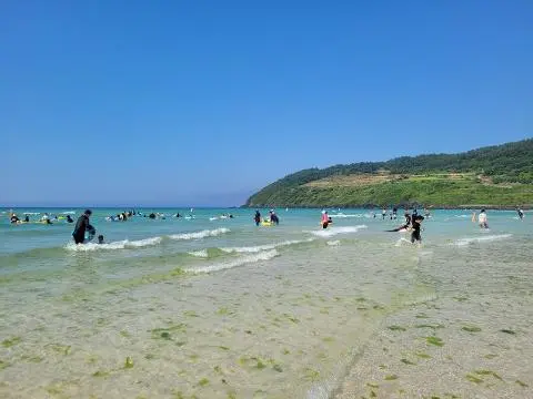 2024 놓치지 말아야할 ‘여름’ 제주관광 <햇빛 찬란한 제주의 여름, 푸른빛 추억 만들러 떠나볼까?>