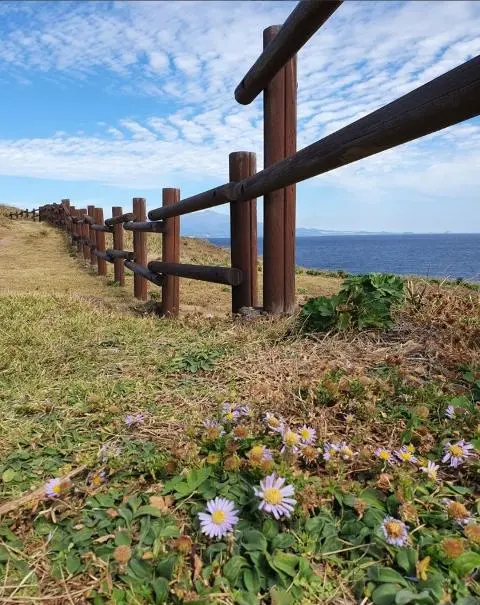 2024 놓치지 말아야할 ‘여름’ 제주관광 <햇빛 찬란한 제주의 여름, 푸른빛 추억 만들러 떠나볼까?>