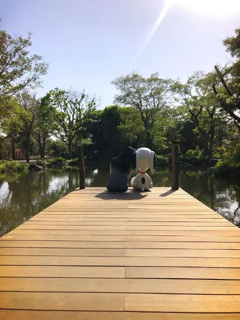 [5(Oh!)my jeju 캠페인 이벤트-축제·행사편] 제주 축제행사를 칭찬해