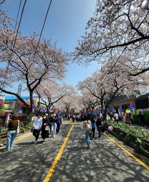 [5(Oh!)my jeju 캠페인 이벤트-축제·행사편] 제주 축제행사를 칭찬해